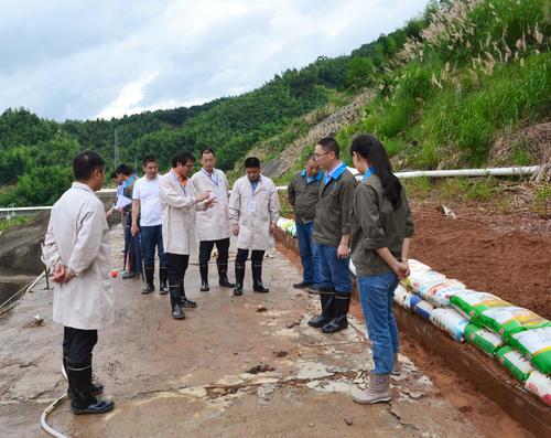 鄧義楨：6.21吳彩洪董事長到龍巖分公司視察防汛抗災(zāi)工作3.jpg