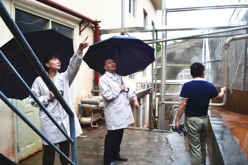 鄧義楨：機(jī)電控股公司副總經(jīng)理陳伯煒一行到龍巖分公司視察防汛抗災(zāi)工作3.jpg