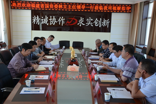 洪進青：省國資委領導視察海西東諾公司1.jpg