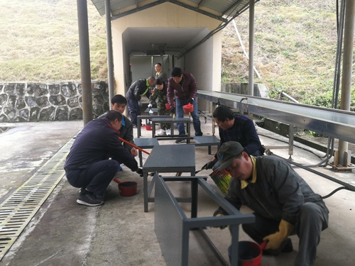 施武星：龍巖分公司乳化一車間支部組織黨員給車間鐵質(zhì)平臺(tái)、踏板刷漆.jpg