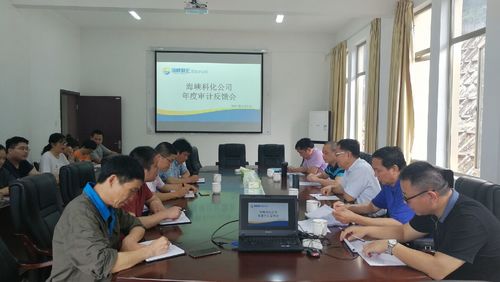 海峽科化對(duì)龍巖分公司審計(jì)結(jié)果反饋會(huì)1.jpg