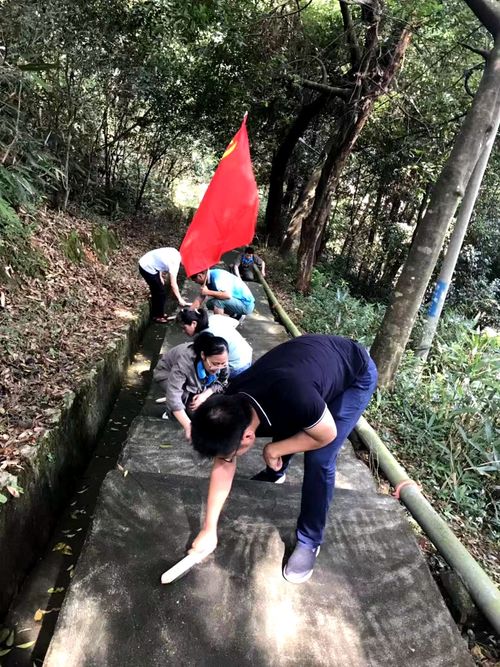 陳宏金：不忘初心 牢記使命，永春分公司組織機(jī)關(guān)黨員清理上下班臺(tái)階的青苔1.jpg