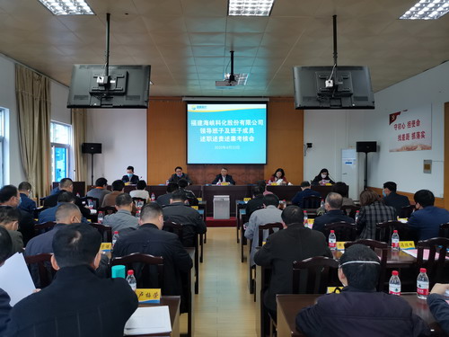 羅聯河：海峽科化公司召開2017�?019年度領導班子及成員述職述責述廉考核會_調整大小.jpg