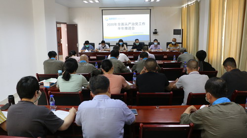 （建議采用）吳瑤：龍巖分公司黨委召開2020年全面從嚴(yán)治黨工作半年推進(jìn)會(huì)_調(diào)整大小.JPG