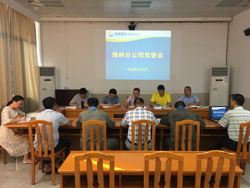烽林鄭小杰：黨委會(huì)現(xiàn)場(chǎng)_調(diào)整大小.jpg