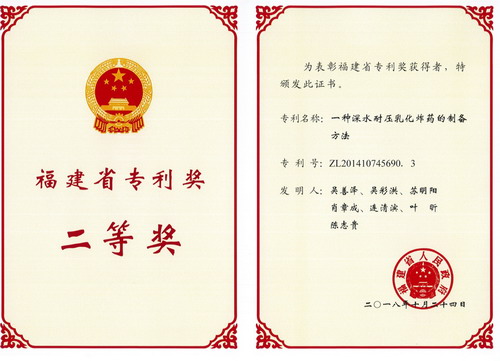 永安分公司：2018年獲福建省專利獎(jiǎng)二等獎(jiǎng)_調(diào)整大小.jpg