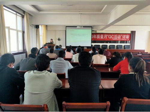 青海海西東諾化工有限公司舉行QC成果發(fā)布會(huì)現(xiàn)場(chǎng)_調(diào)整大小.jpg