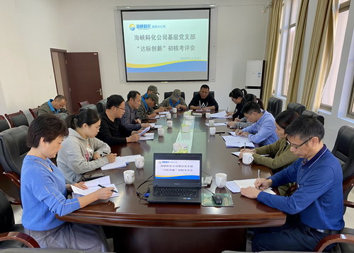 吳瑤：?？乒究荚u組到龍巖分公司開展基層黨支部“達標創(chuàng)星”初核考評工作_調(diào)整大小.jpg
