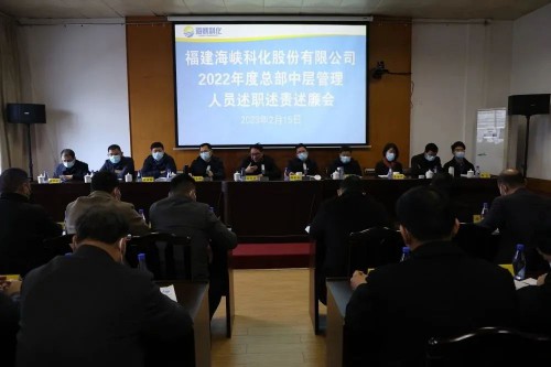 格式工廠海峽科化公司召開2022年度總部中層管理人員述職述責(zé)述廉考核�?.jpg