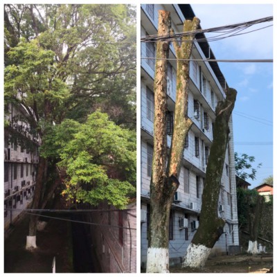 烽林崔愛新：海峽科化烽林分公司黨委多措并舉推進“我為群眾辦實事”活動落地見�?.jpg