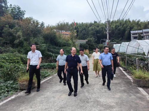 格式工廠福安黃曉志：圖為省機(jī)電控股公司黨委委員、副總經(jīng)理吳大文到福安市仙嶺村開展鄉(xiāng)村振興工作調(diào)�?(2).jpg